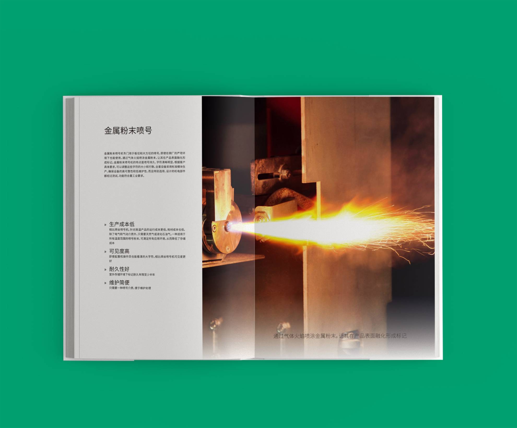 精装画册印刷案例